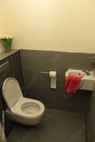 Photo: Toilet in shades of grey Toilet in shades of grey