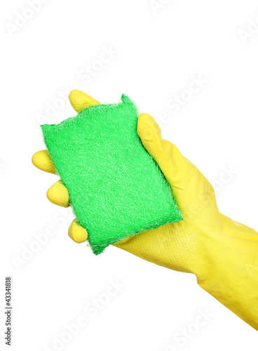 Photo: Sponge in hand isolated on white Sponge in hand isolated on white