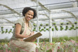 African American worker tending to plants in greenhouse