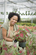 African American worker tending to plants in greenhouse