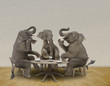 Elephants having tea party