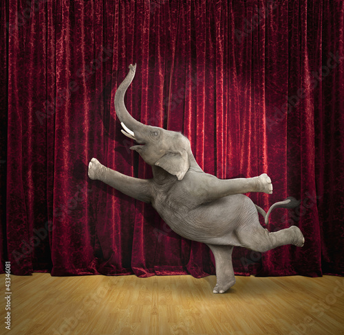 Photo: Elephant dancing on stage Elephant dancing on stage
