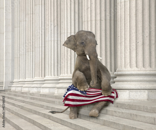 Photo: Elephant sitting steps with American flag Elephant sitting steps with American flag