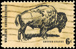 USA - CIRCA 1970 Buffalo