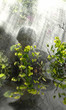 Engel in Regen und Sonne