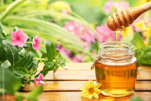 Photo: Honey Honey