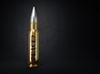 Illustration: Bullet Bullet