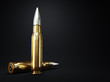 Bullet