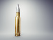 Illustration: Bullet Bullet