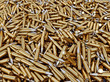 Illustration: Bullet Bullet