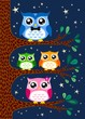 Vektor: family owl portrait family owl portrait