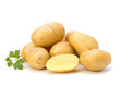 New potato and green parsley