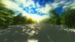 Tropical river