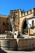 Photo: Lions fountain, Plaza de Populo, Baeza, Spain © Arena Photo UK Lions fountain, Plaza de Populo, Baeza, Spain © Arena Photo UK