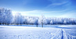 Photo: Winter landscape Winter landscape