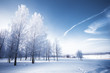 Photo: Winter day in park. Snowy landscape Winter day in park. Snowy landscape