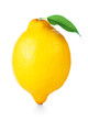 Single ripe lemon with green leaf isolated on white background