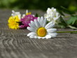 Photo: Blumen Gruß auf dem Holzbrett Blumen Gruß auf dem Holzbrett