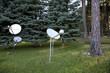 Photo: Satellite dishes in wooded area Satellite dishes in wooded area