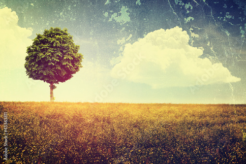 Photo: Vintage Landscape Vintage Landscape