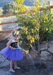 Caucasian girl watering tree in garden
