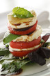 Tomato and Goat Cheese Salad