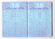 A facsimile of a U.S. passport.