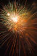 Fireworks exploding in sky