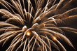 Fireworks exploding in sky