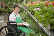 Caucasian worker in wheelchair working in nursery