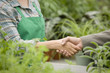 Nursery owner greeting salesman