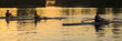People rowing sculling boats on river
