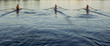 People rowing sculling boats on river