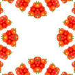 Photo: Kaleidoscopic Tomatoes Kaleidoscopic Tomatoes