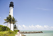 Lighthouse and tropical palm trees near ocean