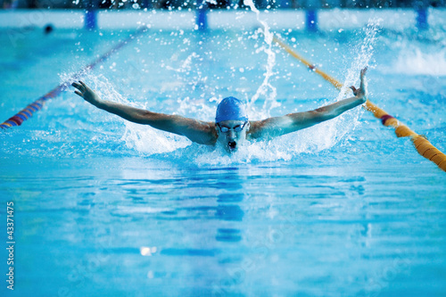 Photo: man swims the butterfly man swims the butterfly