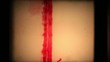 8mm Filmrollen-Vorspann