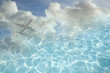 Clouds and airplane reflected in swimming pool water