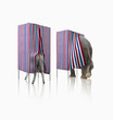 Donkey and elephant voting in voting booths