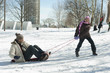 Daughter pulling father on sled