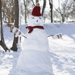 Snowman in hat, gloves and scarf