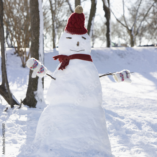 Photo: Snowman in hat, gloves and scarf Snowman in hat, gloves and scarf