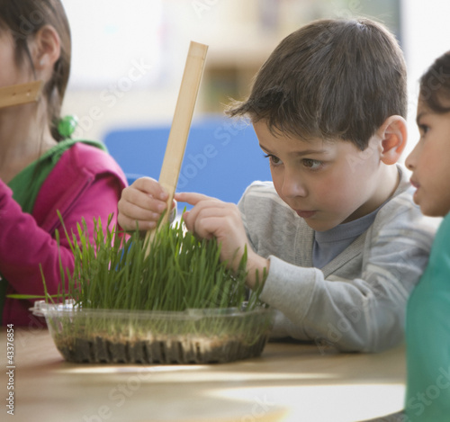 Photo: Boy measuring plant in classroom Boy measuring plant in classroom