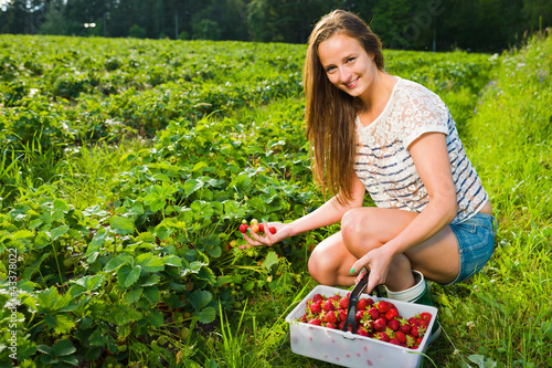 Photo: Berry checking Berry checking