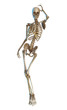skeleton retro pin up 2