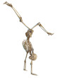 skeleton thinking pirueta.jpg