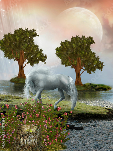 Illustration: Fantasy Landscape Fantasy Landscape