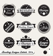Vector Set: Bowling League Cha...