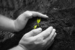 New life