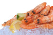 Scampi